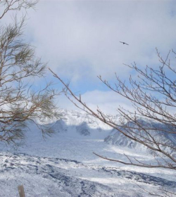 Agenzia/operatore Turistico Escursioni E Trekking Sull'etna Etnatracking